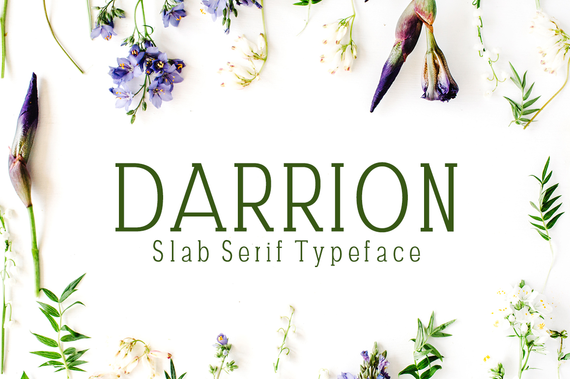 Darrion: A Stylish Slab Serif Font for Creative Displays