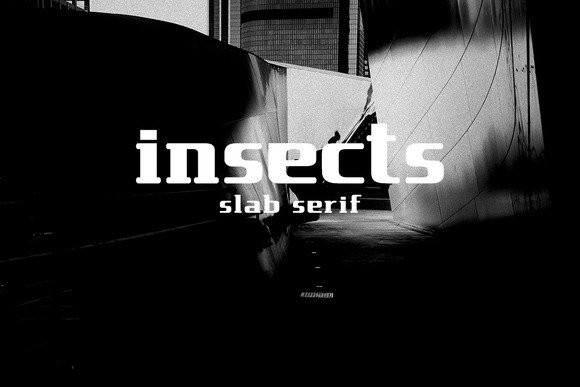 Insects: A Creative Niche for Design and Typography