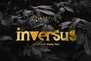 Inversus: A Bold Slab Serif Font for Modern Design Projects