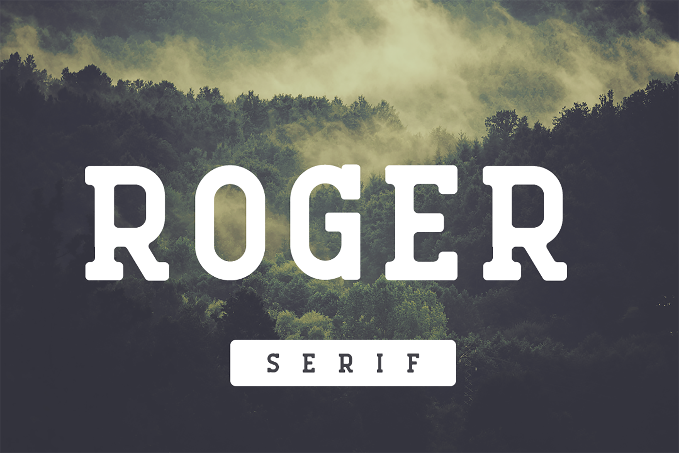 Roger Serif: A Bold Vintage Font for Modern Creativity